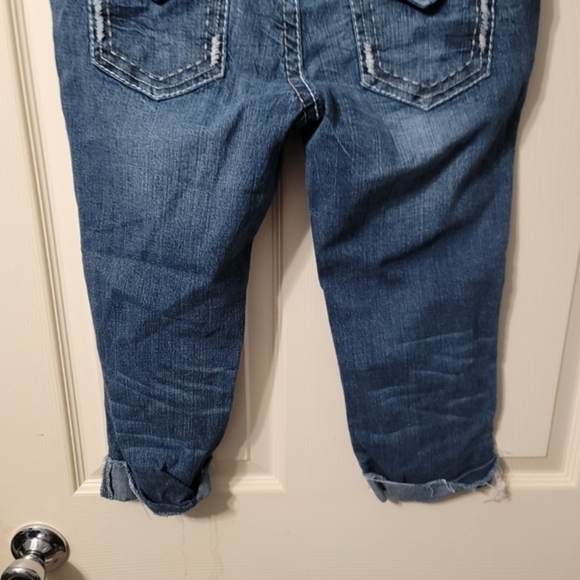 Amethyst Cropped Jeans - Picture 6 of 8